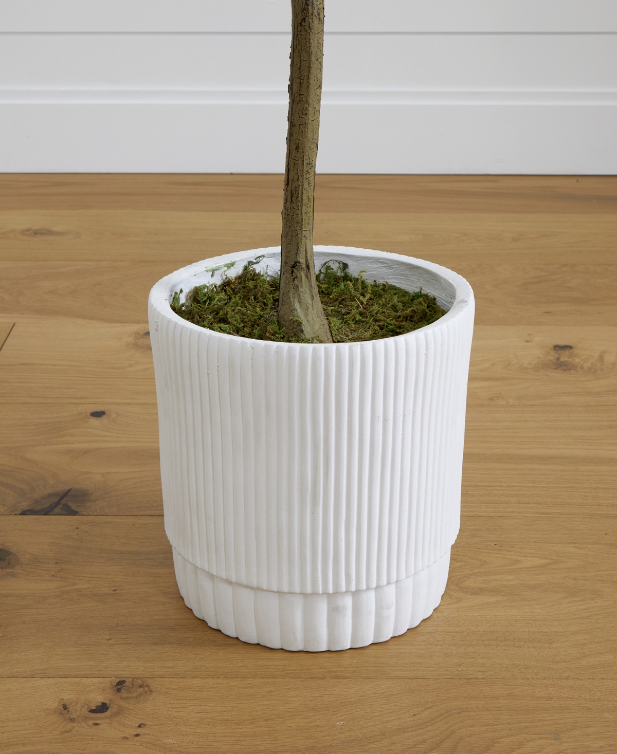 Nearly Natural 72" Artificial Olive Tree With Decorative Planter In Green