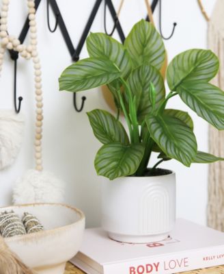 12" Artificial Calathea Plant with Decorative Planter