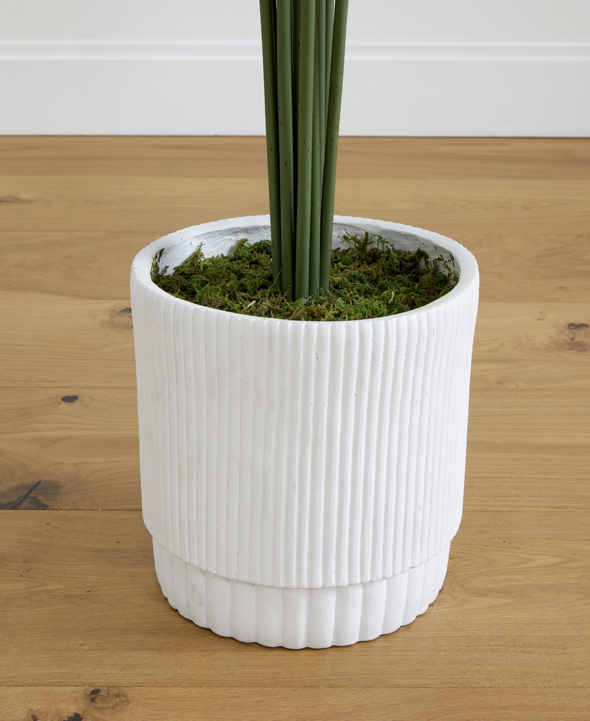 Nearly Natural 6ft Artificial Paradise Palm With Decorative Planter In Green