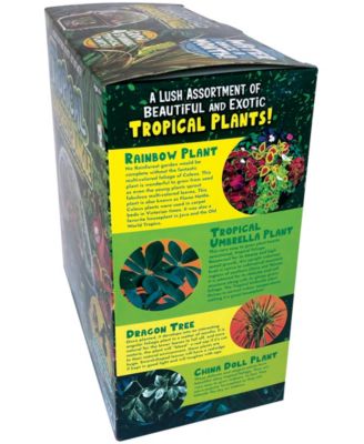 Biosphere Terrarium - Tropical Rainforest Jungle