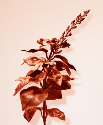 Rose Gold Intense Eau de Parfum, 1.6 oz.