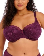 Plusgalpret Push Up Padded Bras for Women Lace Emboridery Plus Size Bra Add  Two Cup Underwire Brassiere 38 40 42 44 B C cup
