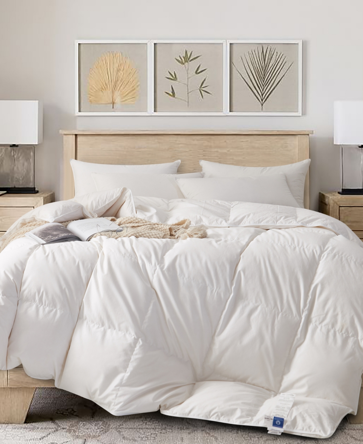 Royal Elite 850 Plus Fill Power Ultra Warmth Luxurious Canadian Hutterite Goose Down Comforter, Queen In White