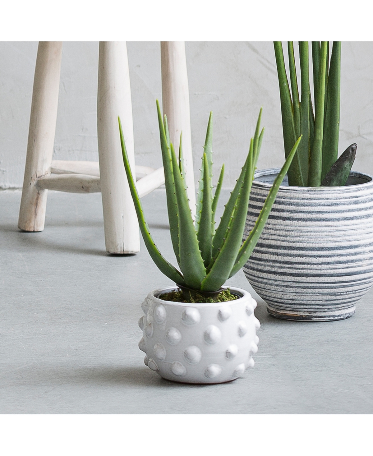 Storied Home Round Terra-cotta Planter With Raised Dots, White Glaze In White