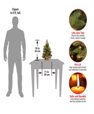 National Tree Company 18" Wintry Pine Small Tree with Cones, Red Berries and Snowflakes in Burlap Base with 15 Warm White Battery Operated LED Lights w/Timer