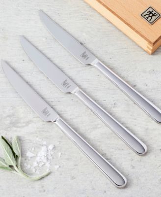 Contemporary 8-pc Stainless Steel Steak Knife Set w Wood Presentation Case