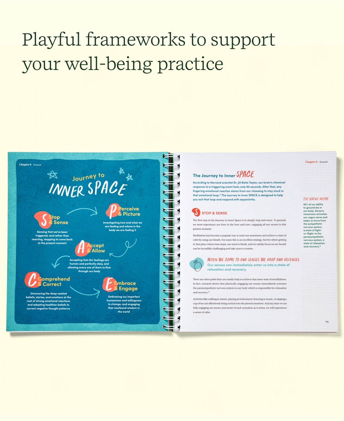 Shop Lifelines Practice Makes Purpose Workbook In Green