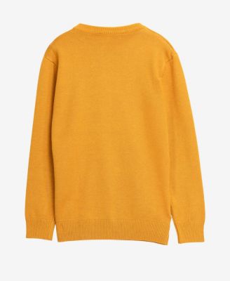 Boy's Basic Crew Neck Sweater
