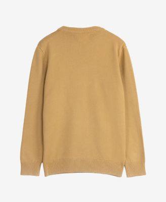 Boy's Basic Crew Neck Sweater