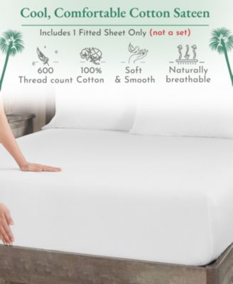 - King 600 Thread Count Fitted Sheet Only - 100% Cotton Sateen, Fully Elasticized with Deep Pockets