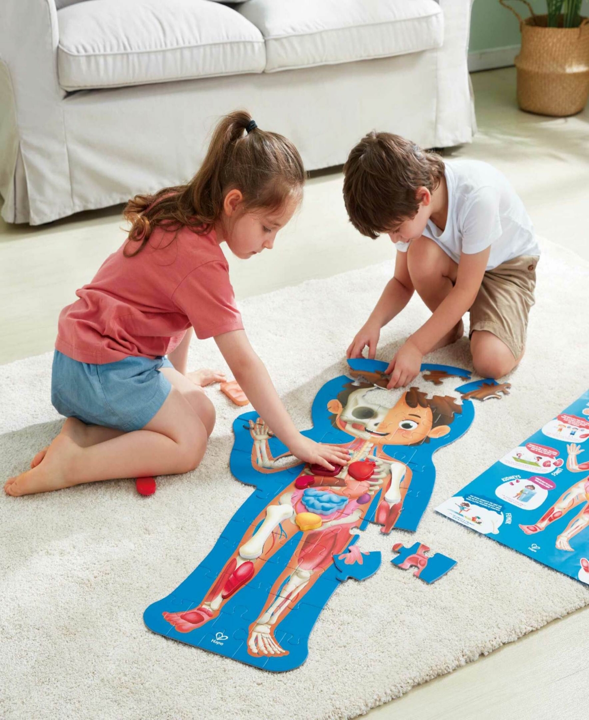 Shop Hape Wooden Human Body Puzzle, 60 Pieces In Multi