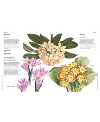 Flowers and Their Meanings- The Secret Language and History of Over 600 Blooms (A Flower Dictionary) by Karen Azoulay