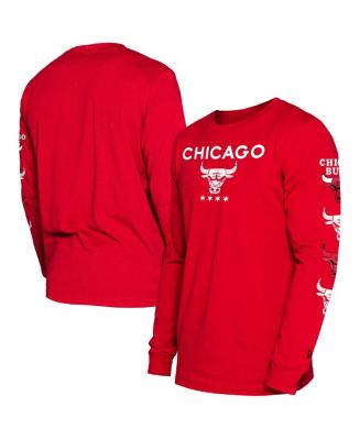 Chicago bulls t shirt mens on sale