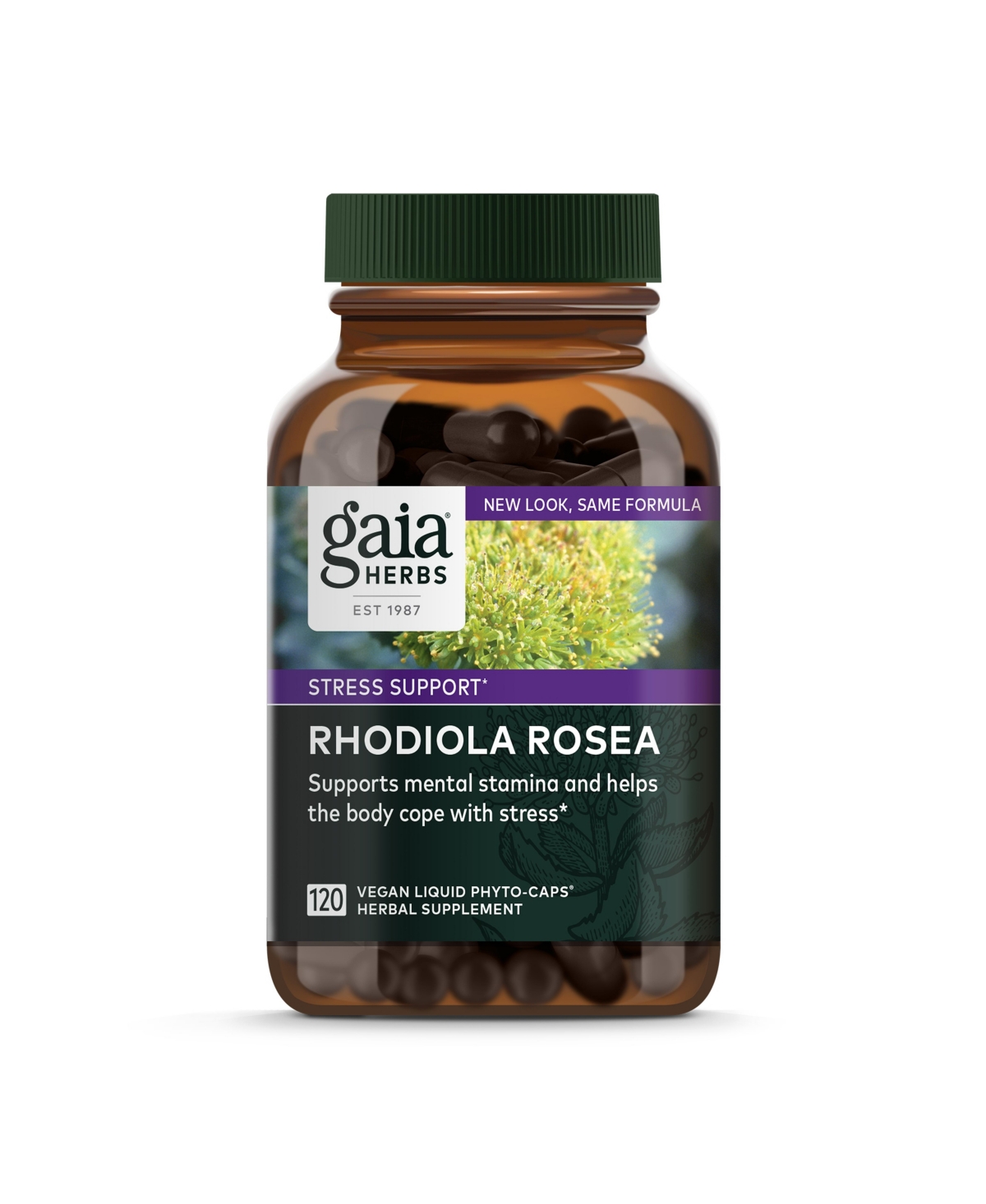 Rhodiola Rosea - Stress Support Supplement Traditionally for Supporting Healthy Stamina and Endurance - With Siberian Rhodiola Root Extract