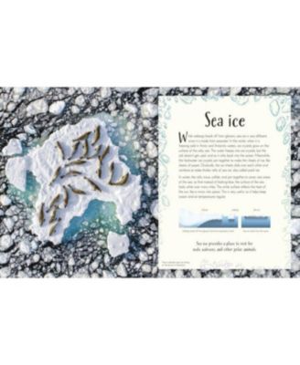 An Anthology of Our Extraordinary Earth by Cally Oldershaw