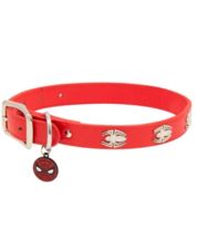 Coach deals pet accessories