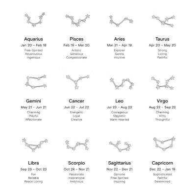 Constellation Zodiac Necklace - 12 Zodiac Constellation - Silver