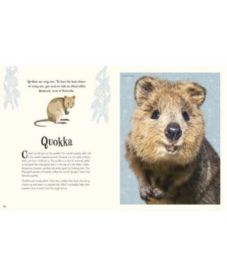 An Anthology of Intriguing Animals by DK