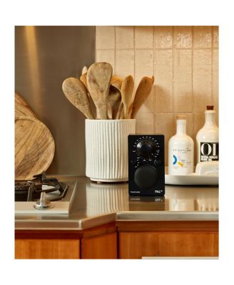 PAL BT Bluetooth AM/FM Portable Radio & Speaker