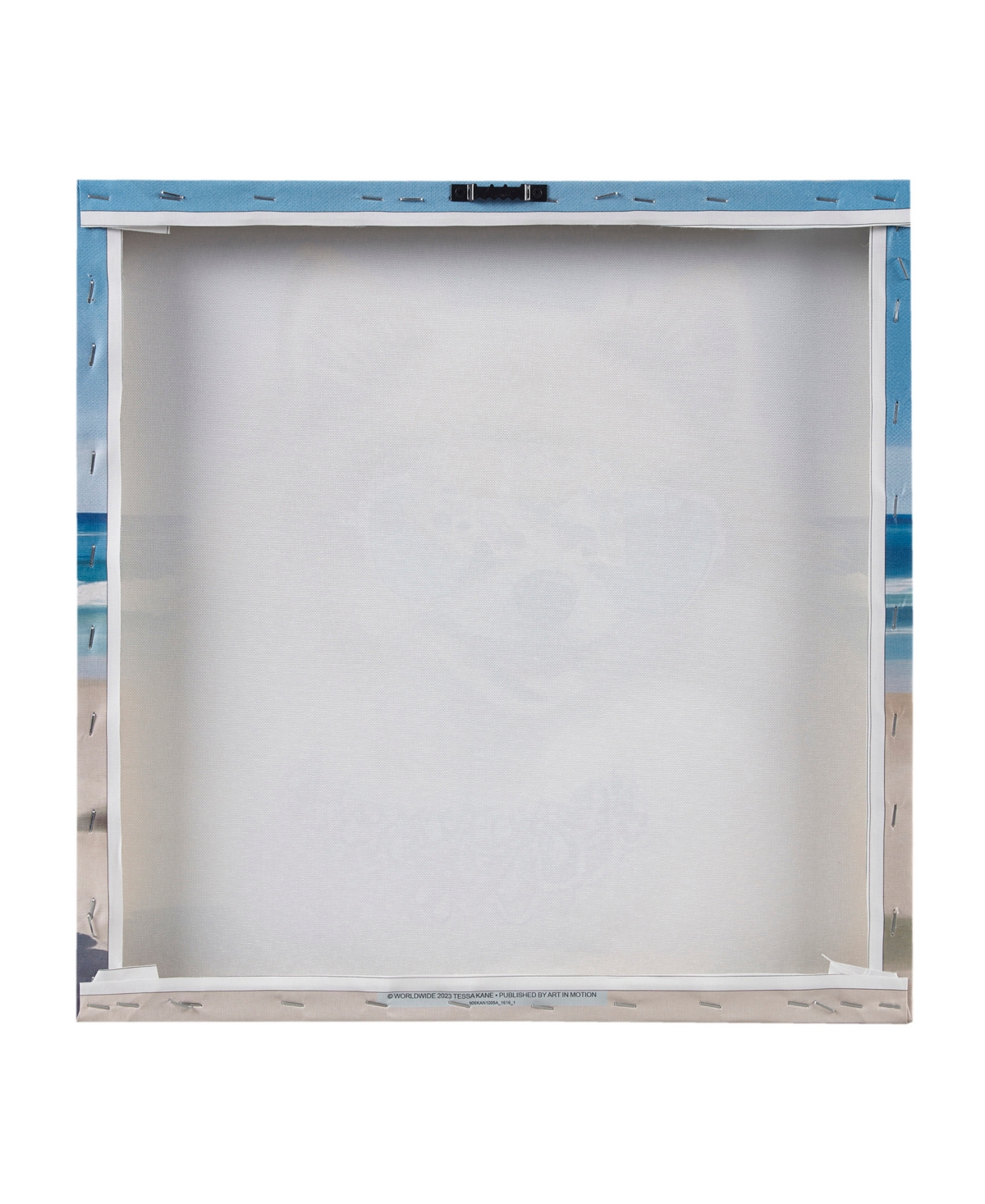 Madison Park Beach Dogs Pomeranian Canvas Wall Art In Open Blue