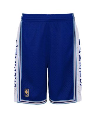 Big Boys Royal Los Angeles Lakers Hardwood Classics Swingman Shorts