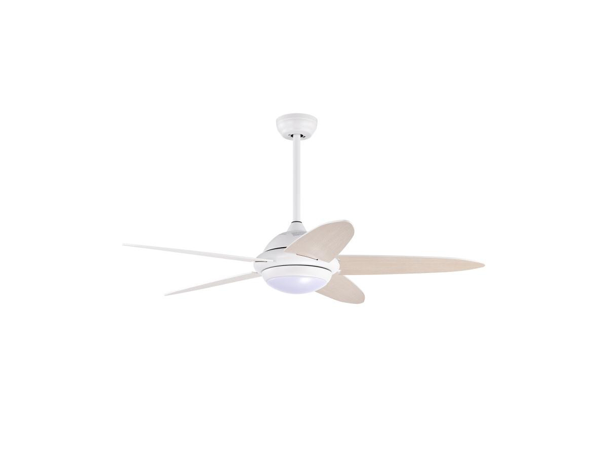 Ceiling Fan with Lights and 3 Lighting Colors