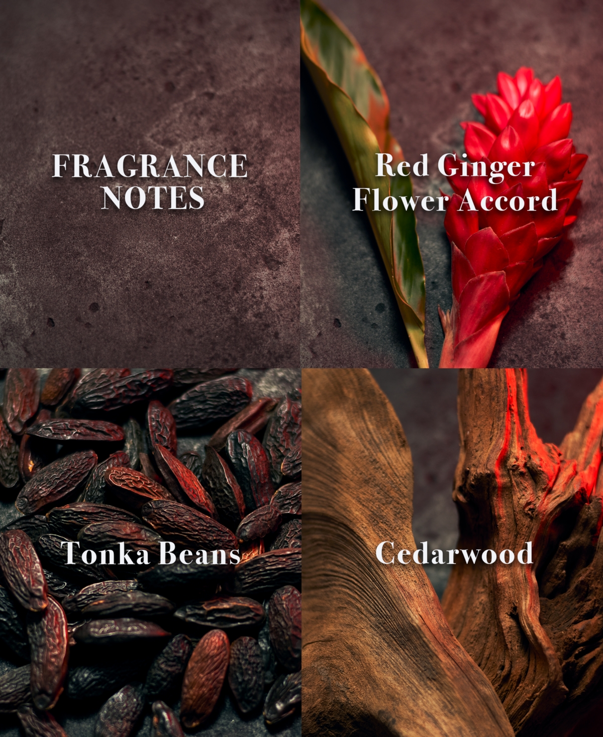 John Varvatos Men's Xx Intense Eau de Parfum Spray, 4.2 oz.