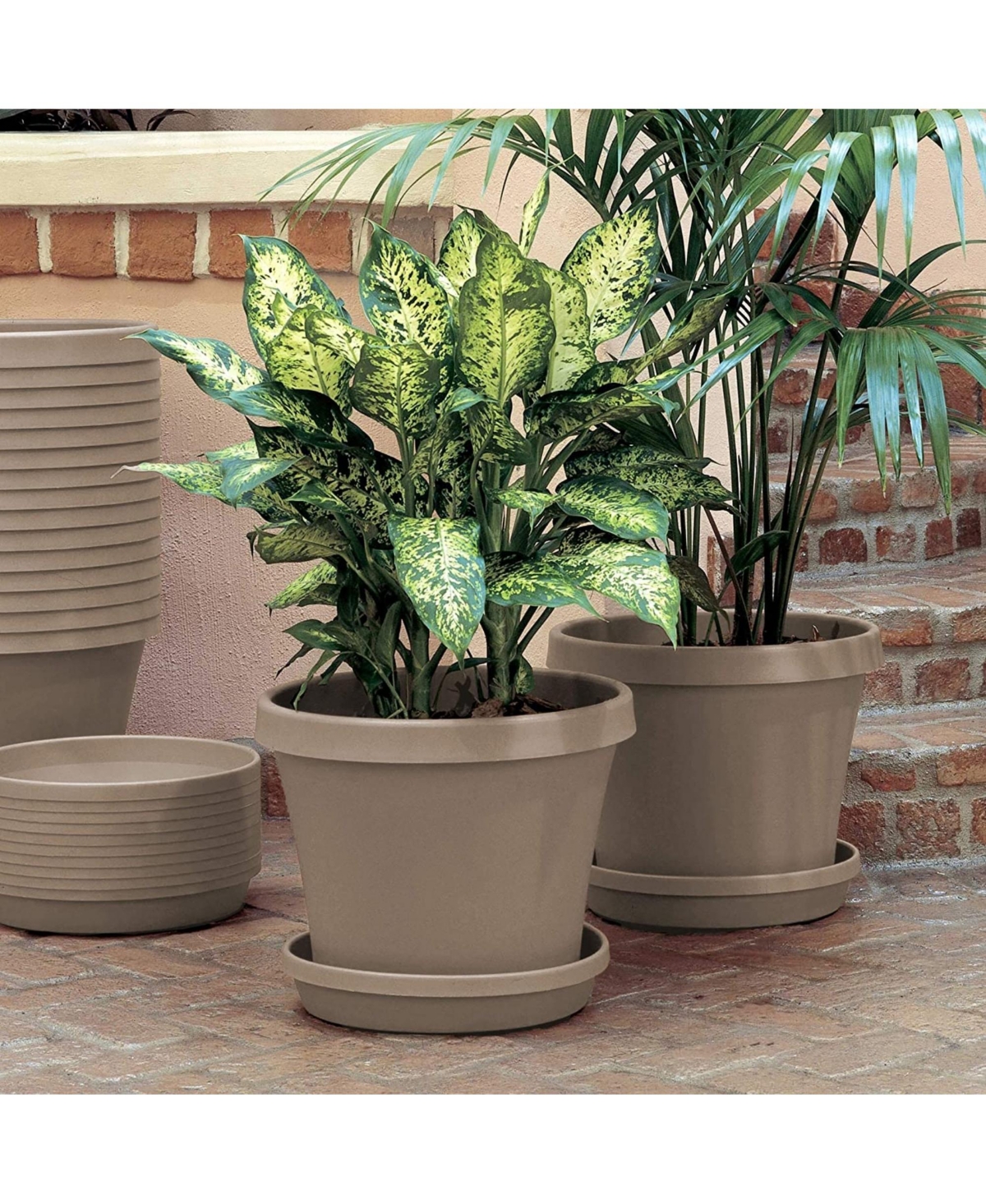 Bloem Terra Plastic Pot Planter,Color, 10inches - Pebble stone