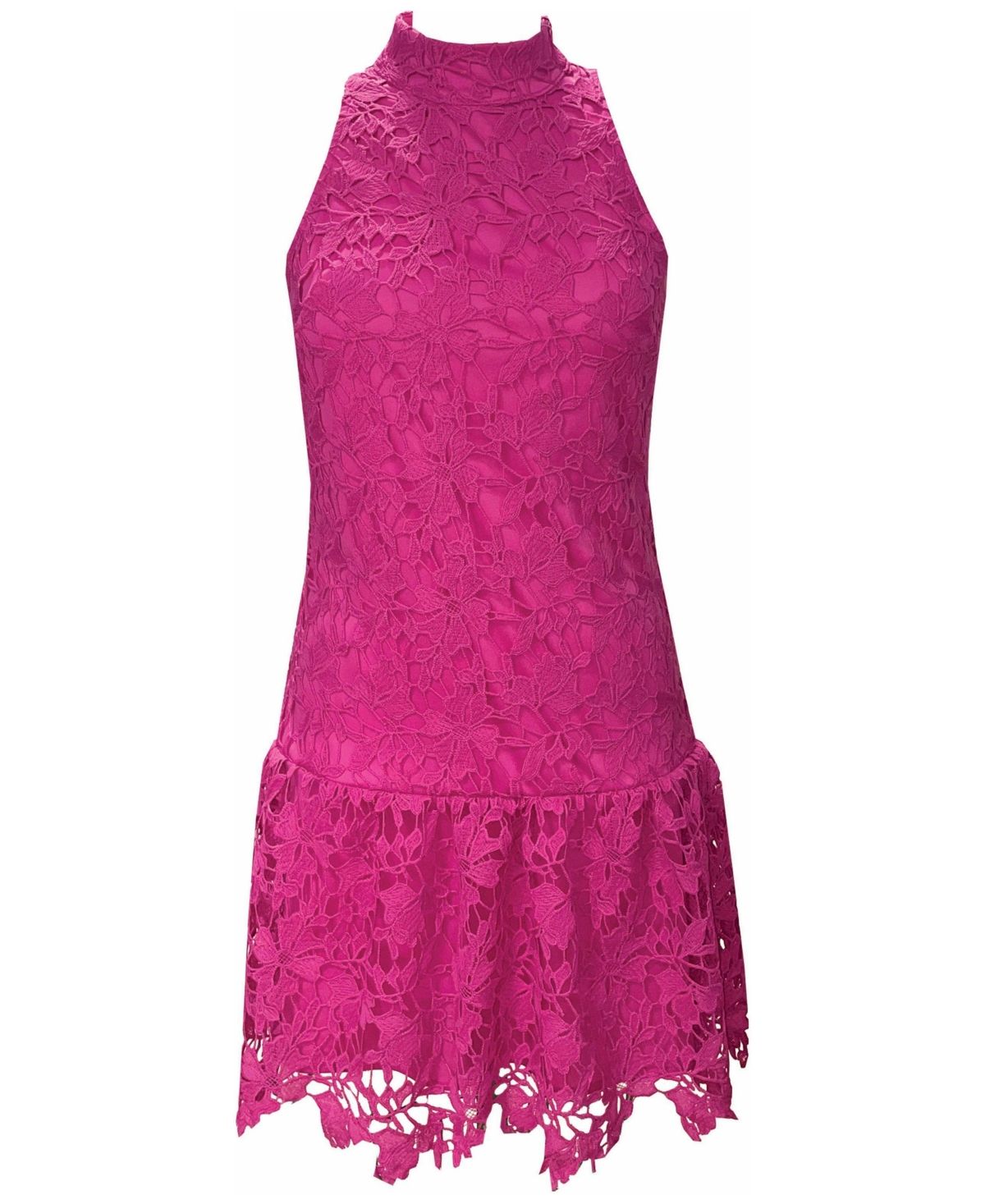 Shop Julia Jordan Women's Lace Mock-neck Dress In Magenta