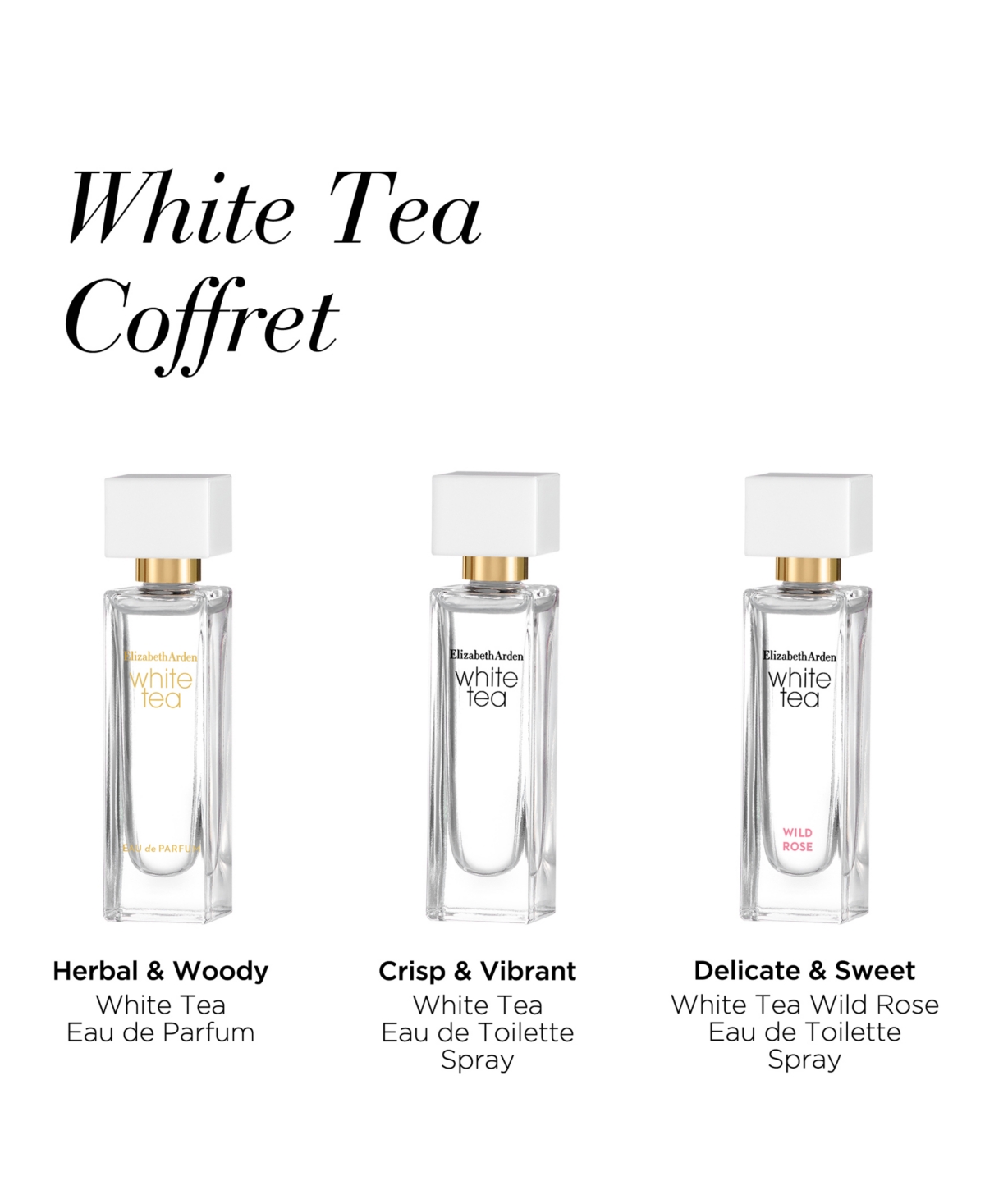 Shop Elizabeth Arden 3-pc. White Tea Fragrance Gift Set In No Color