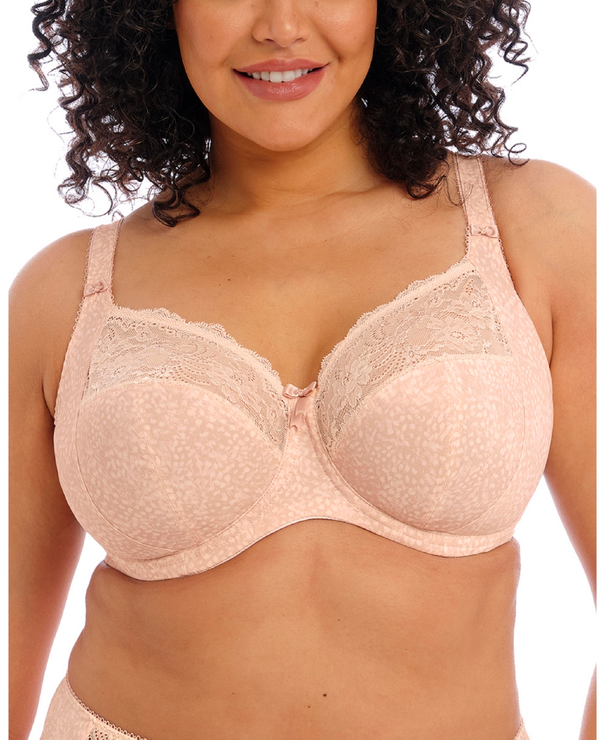 Elomi Full Figure Morgan Banded Underwire Stretch Lace Bra EL4110, Online  Only - Cameo Rose