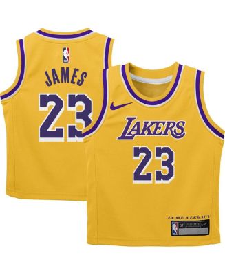 Toddler Boys and Girls Nike LeBron James Gold Los Angeles Lakers