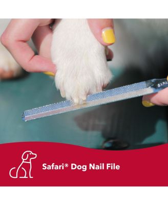 Safari by Nail Grooming Kit - Nail File, Pet Styptic Powder & Guillotine Nail Trimmer