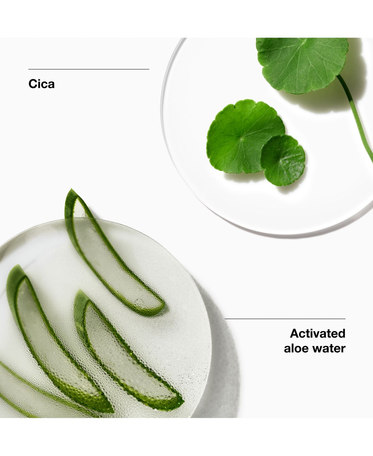 Imagen de producto 5