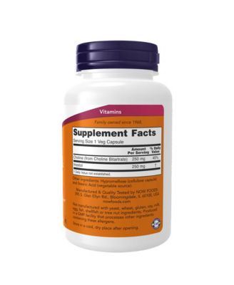 Choline & Inositol, 500 mg, 100 Caps