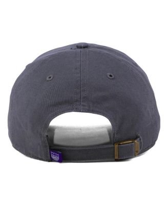 Men's Gray Sacramento Kings Team Logo Clean Up Adjustable Hat