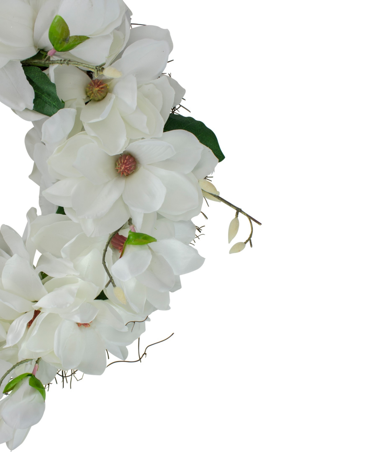 Shop Northlight Magnolias Artificial Spring Wreath In White