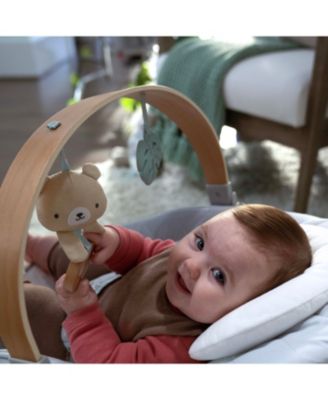 Cozy Spot™ Soothing Bouncer