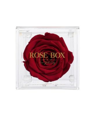 Rose Box NYC Jewelry Box of Violet Long Lasting Preserved Real Rose, 1 ...