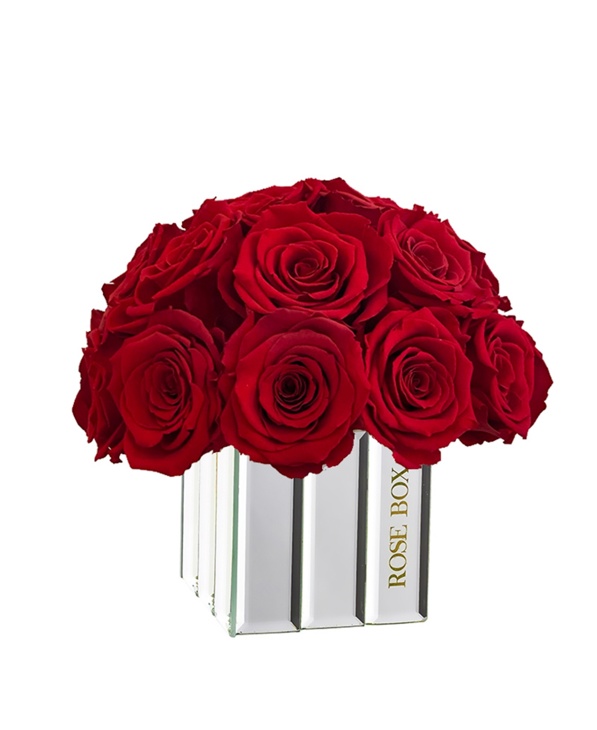 Half Ball of Red Flame Long Lasting Preserved Real Roses in Mini Modern Vase, 25-27 Roses