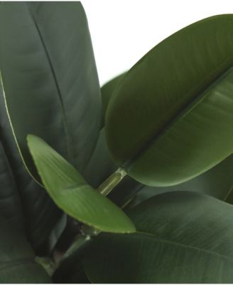 31" Indoor Artificial Floor Garcinia Tree with Decorative White Cement Pot