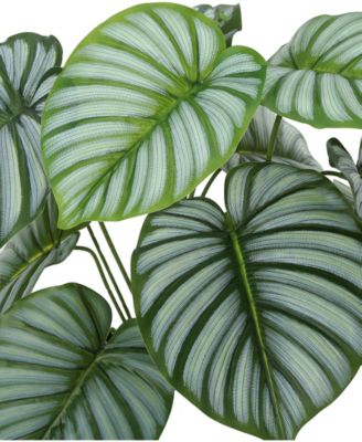 24" Indoor Artificial Calathea Plant with Decorative Black Pot