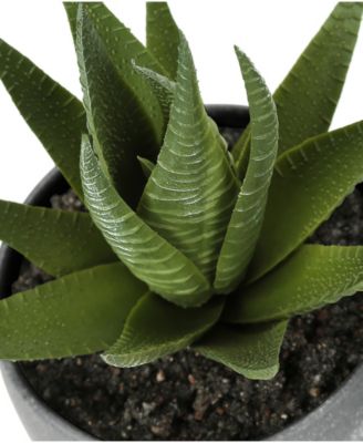 6" Indoor Artificial Succulent Plants with Decorative Grey Cement Pots, Set Of 3