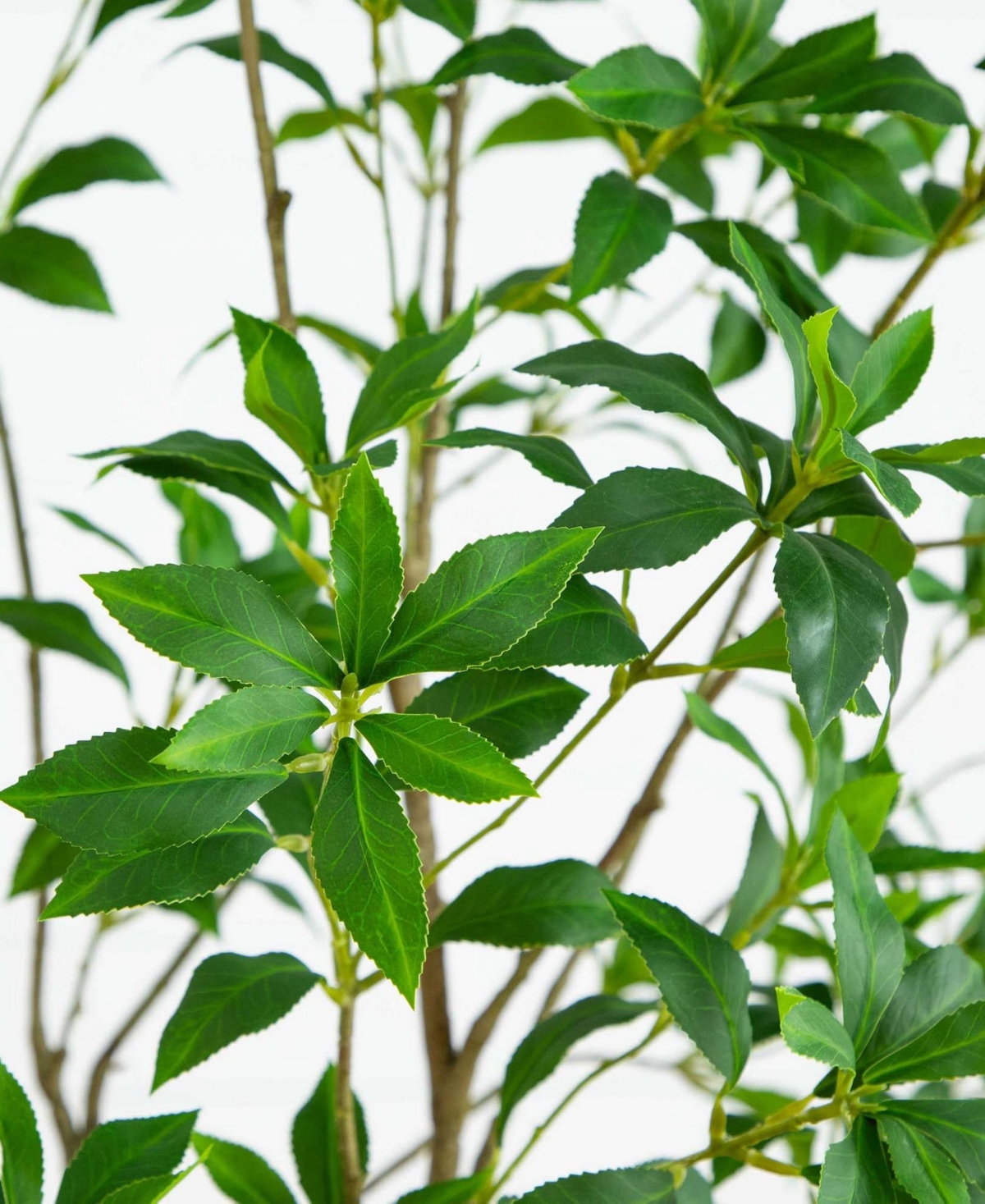 Nearly Natural 7ft. Artificial Minimalist Japanese Pieris Tree With Real Touch Leaves In Green