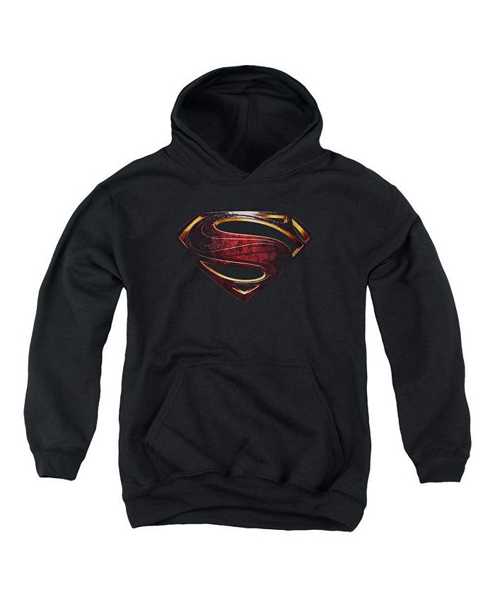 Justice League Boys Movie Youth Superman Logo Pull Over Hoodie / Hooded ...