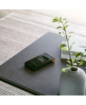 NW-ZX707 Walkman ZX Series Hi-Res Digital Music Player