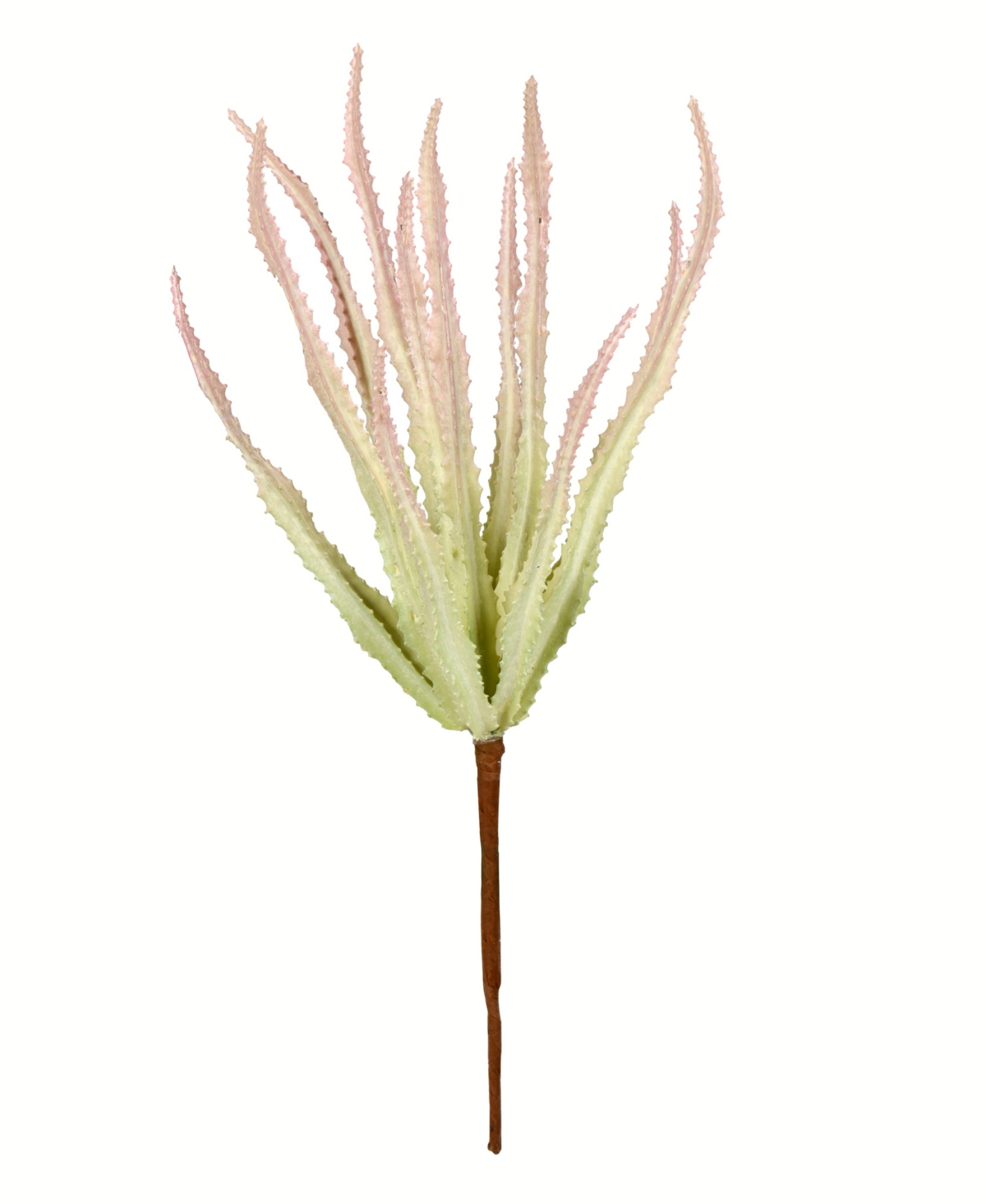 Vickerman Artificial MixedHaworthia Spray. Includes 6 sprays per pack. - Green