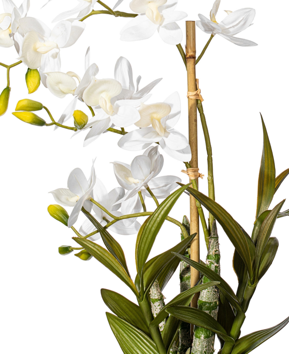 Vickerman 19" Artificial White Deluxe Potted Cycnoches Orchid. In White