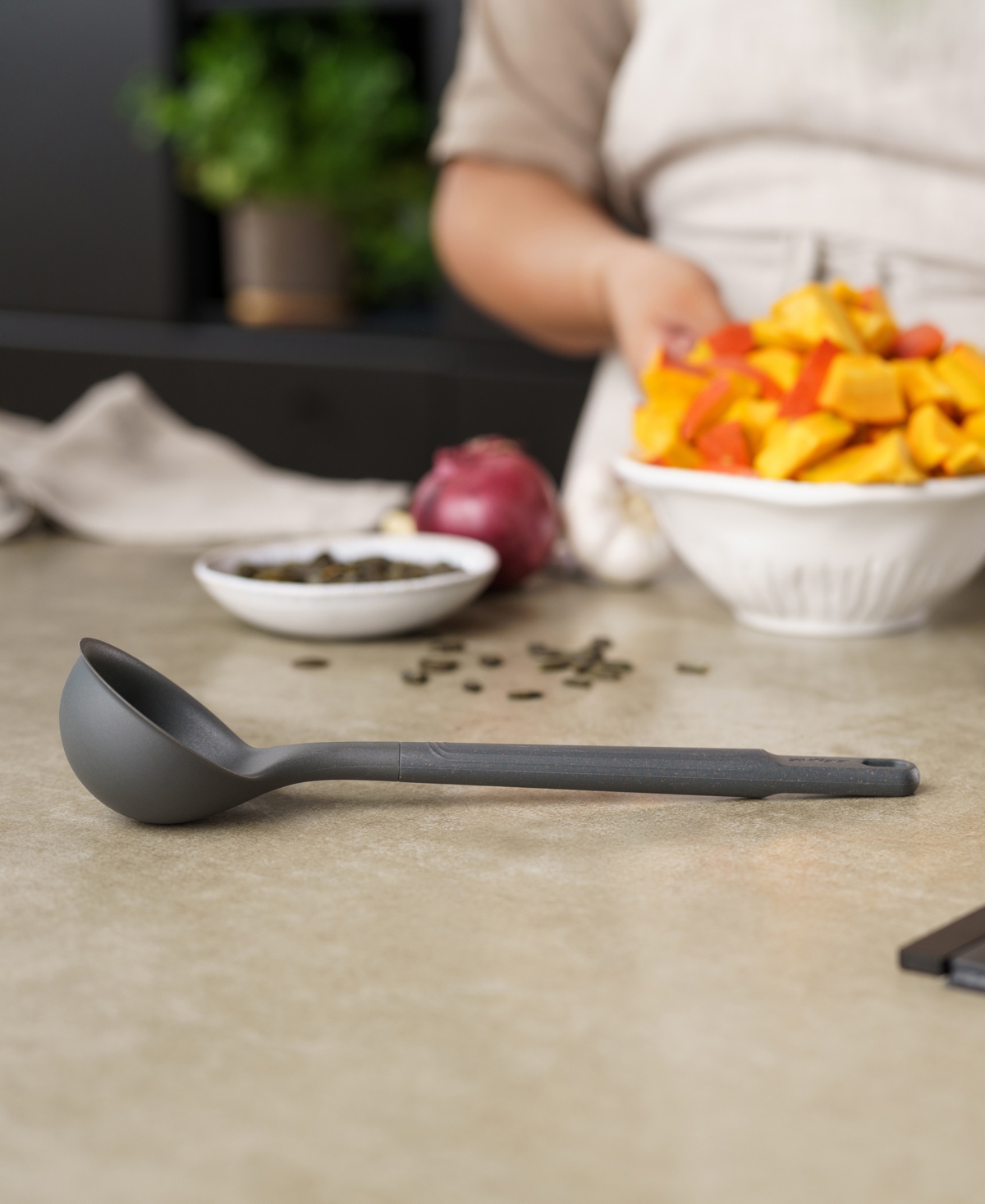 Zyliss Medium Nylon Ladle In Dk Gry
