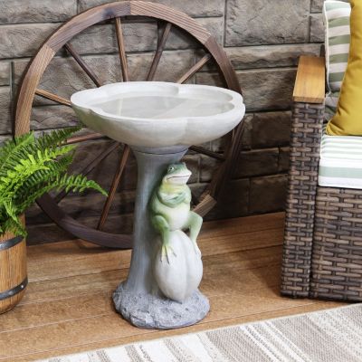 Brooding Frog on a Stone 22-Inch H Polyresin Bird Bath